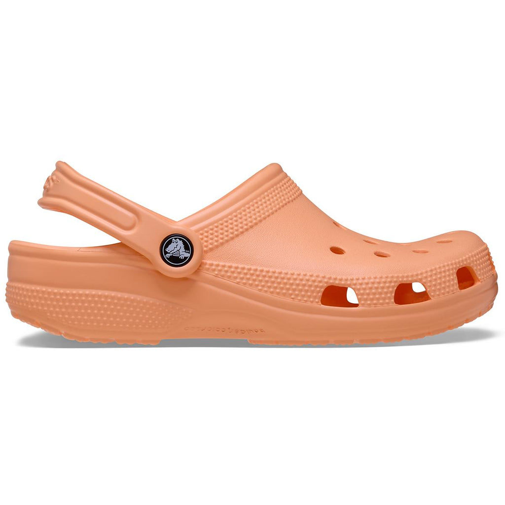 CROCS Classic Terlik/Sandalet 10001-86A