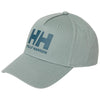 HELLY HANSEN BALL KEP ŞAPKA HHA.67434Cactus