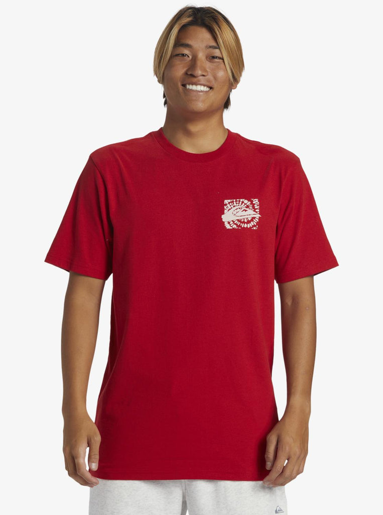 Quiksilver Hurricane Or Hippie Moe Erkek Tişört AQYZT09540-30051