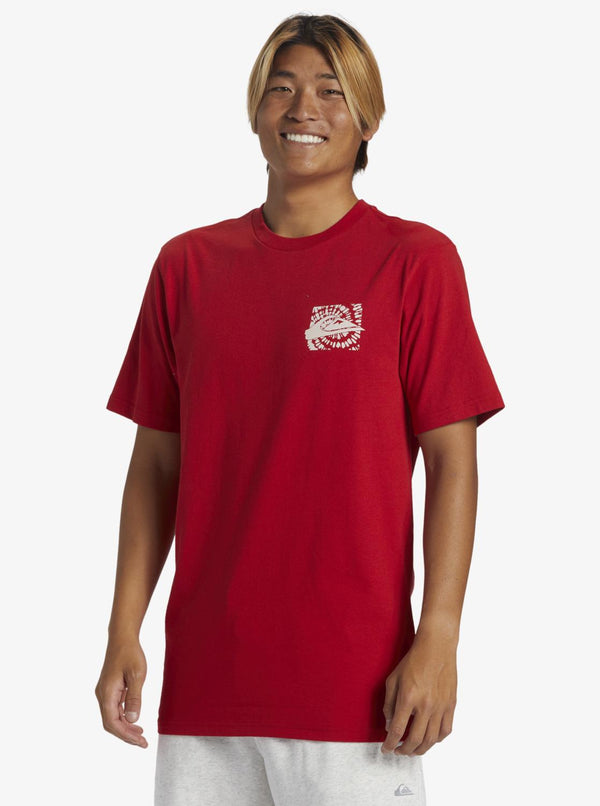 Quiksilver Hurricane Or Hippie Moe Erkek Tişört AQYZT09540-30051