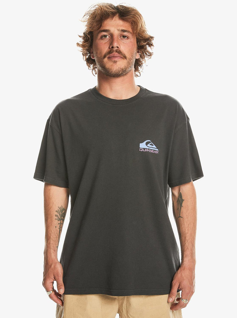 Quiksilver Take Us Back Logo SS Erkek Tişört EQYZT07654-12814