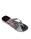 HAVAIANAS Trend Ice Grey Ice Grey Black Erkek Terlik 4103358-9481